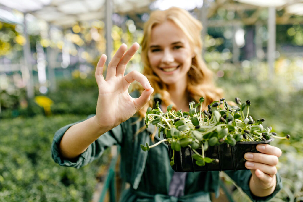 microgreens a casa tua