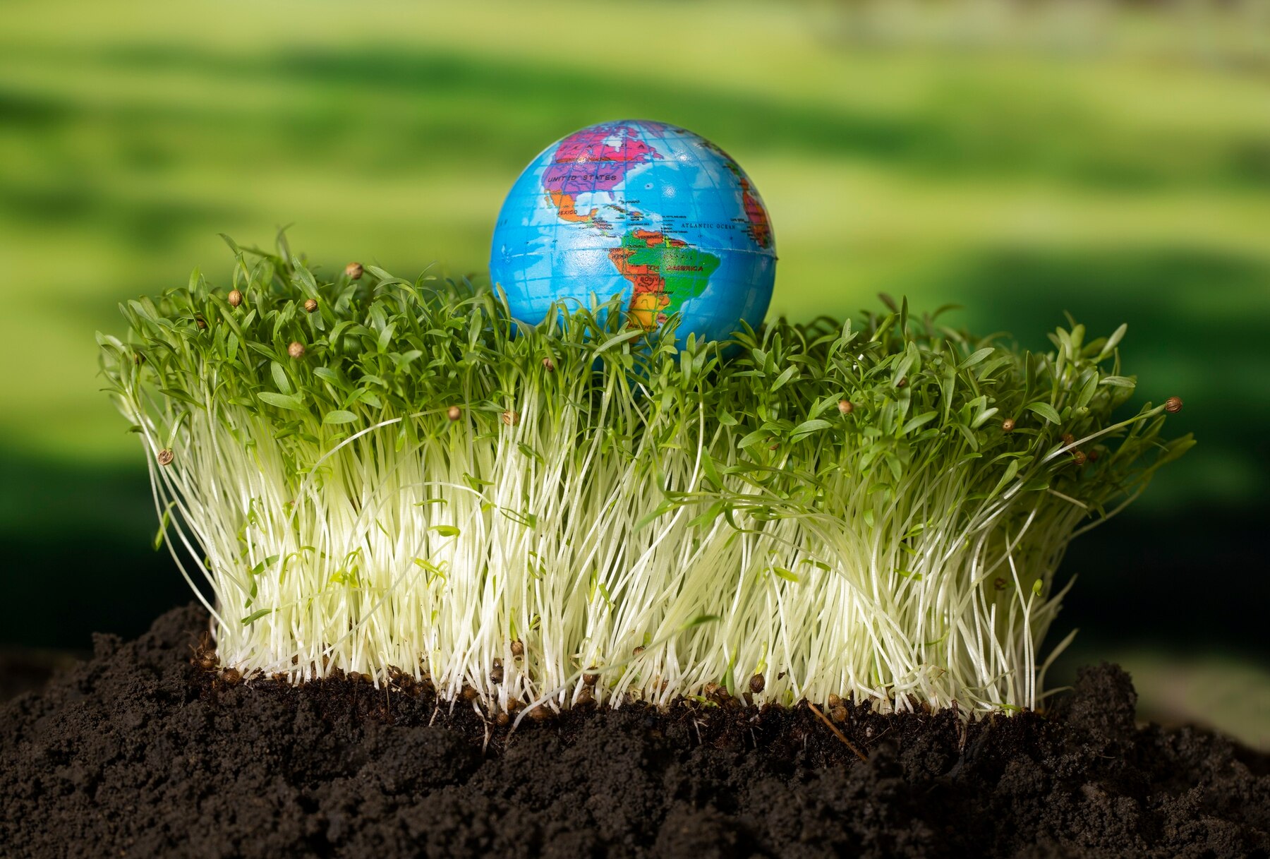 Microgreens fonte di energia naturale