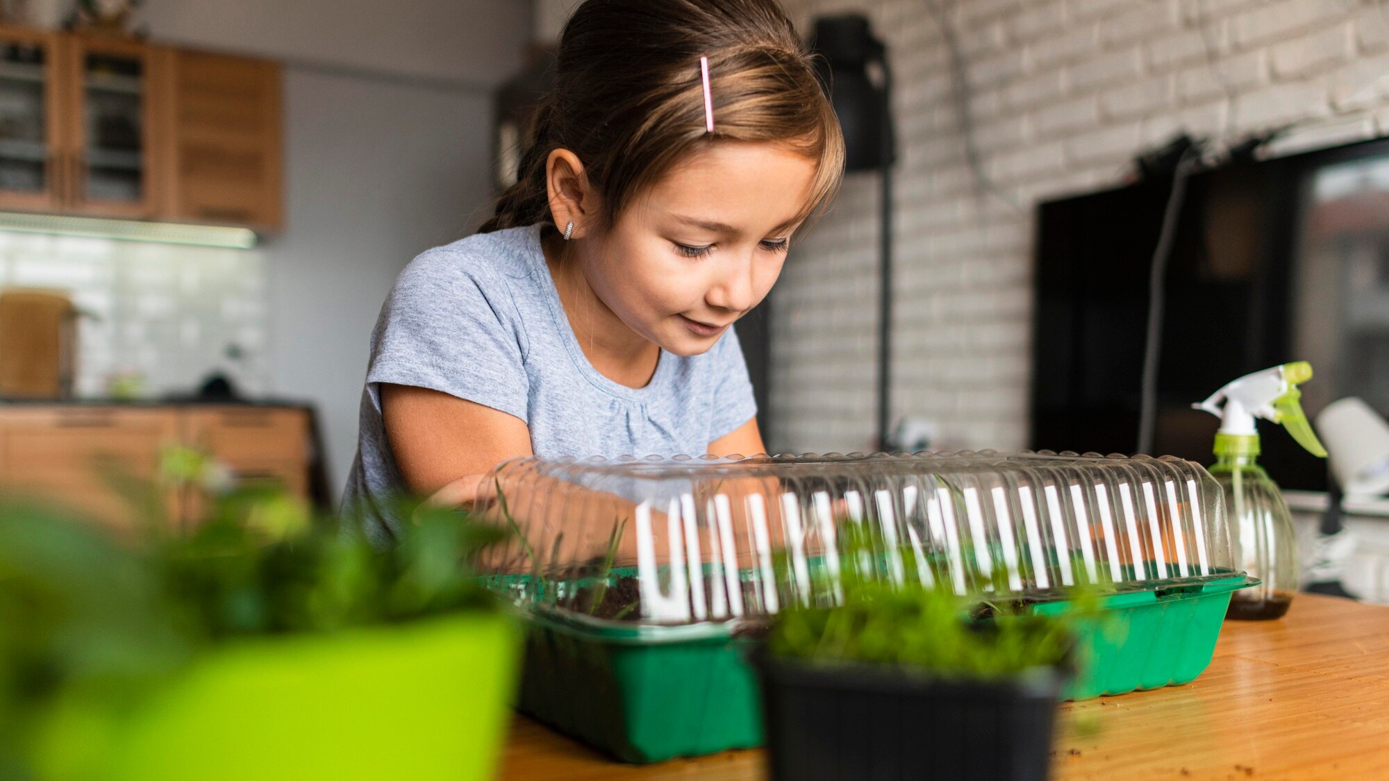 introdurre i microgreens con i bambini